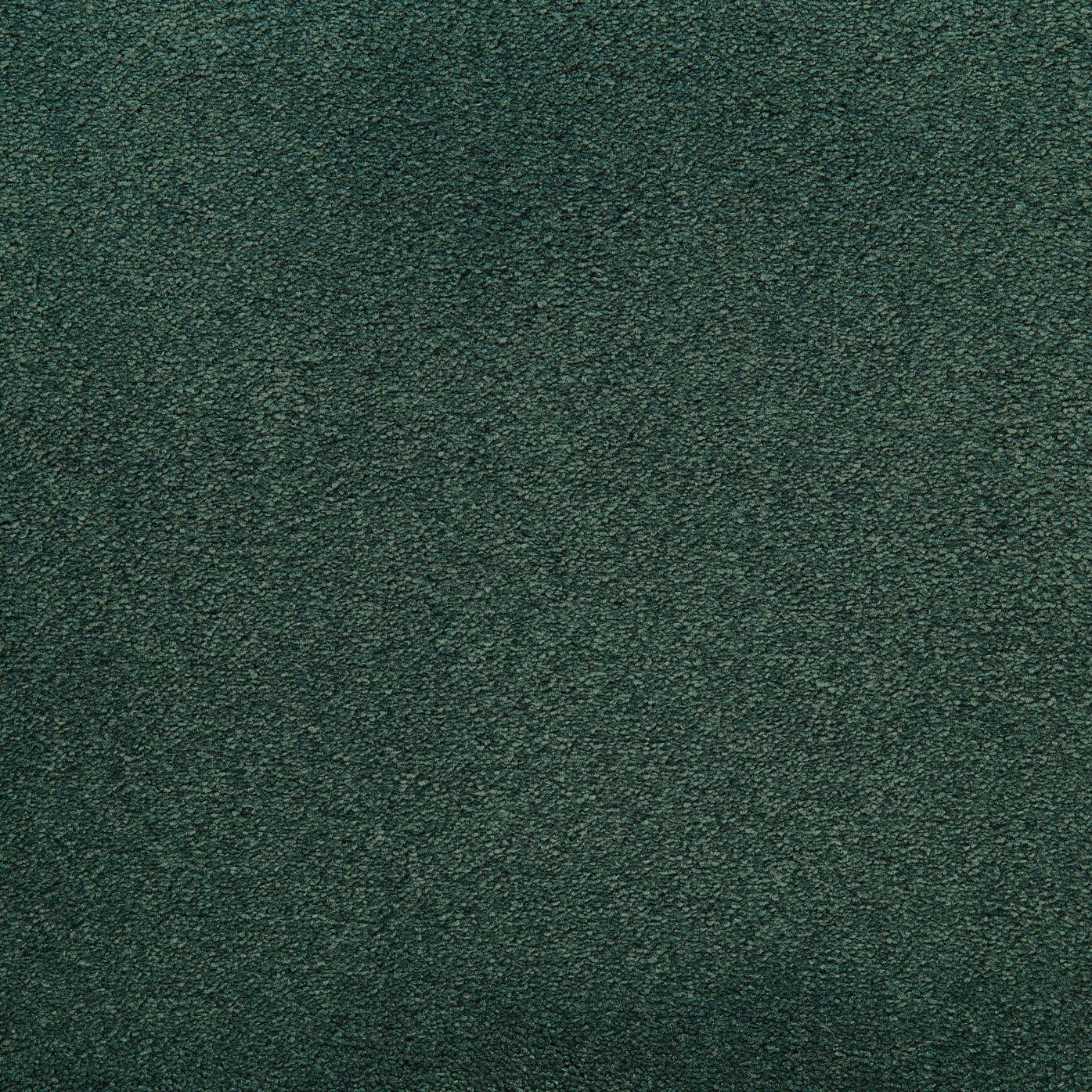 C-4777 Leaf