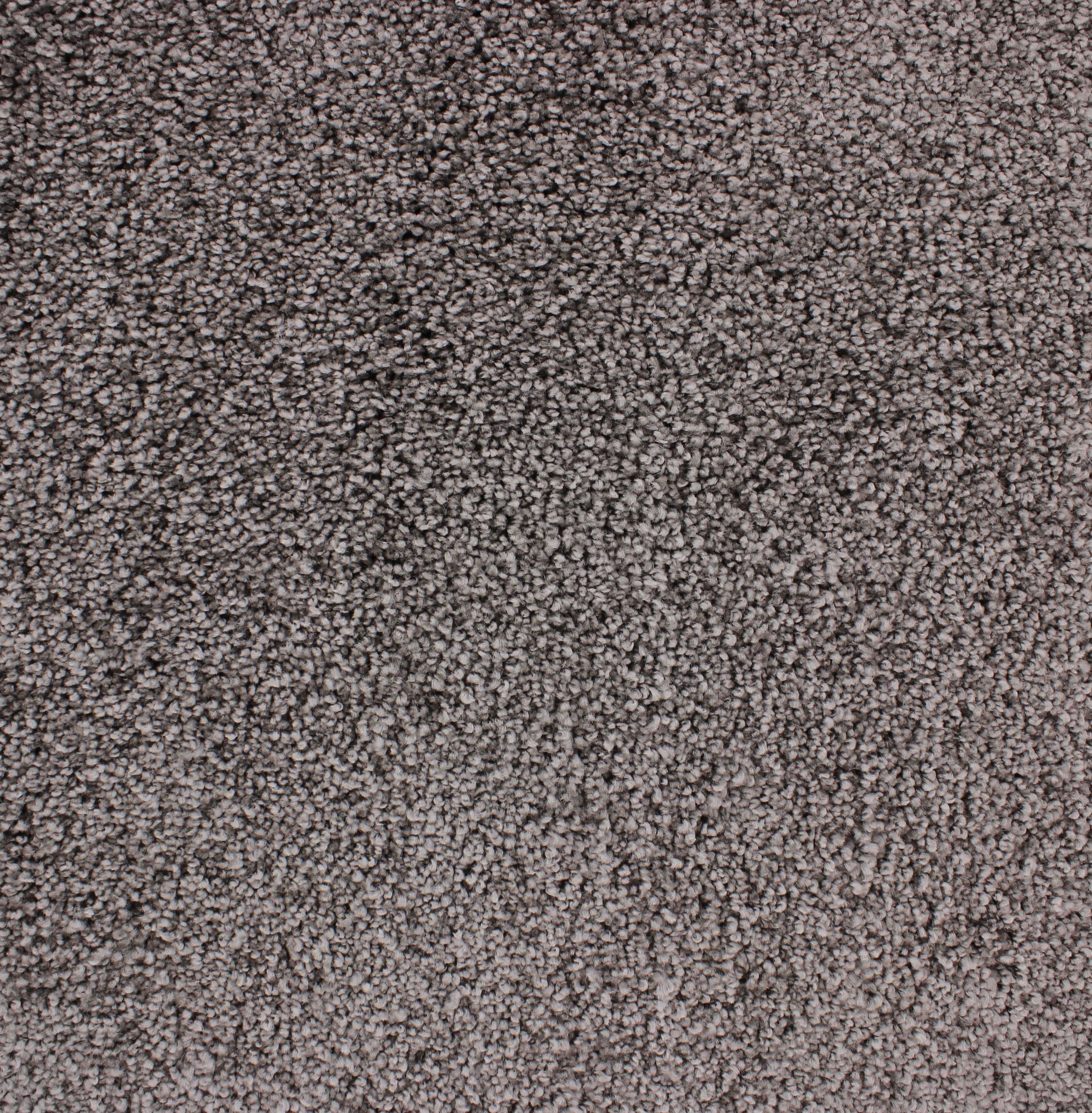 C-3685 Lera