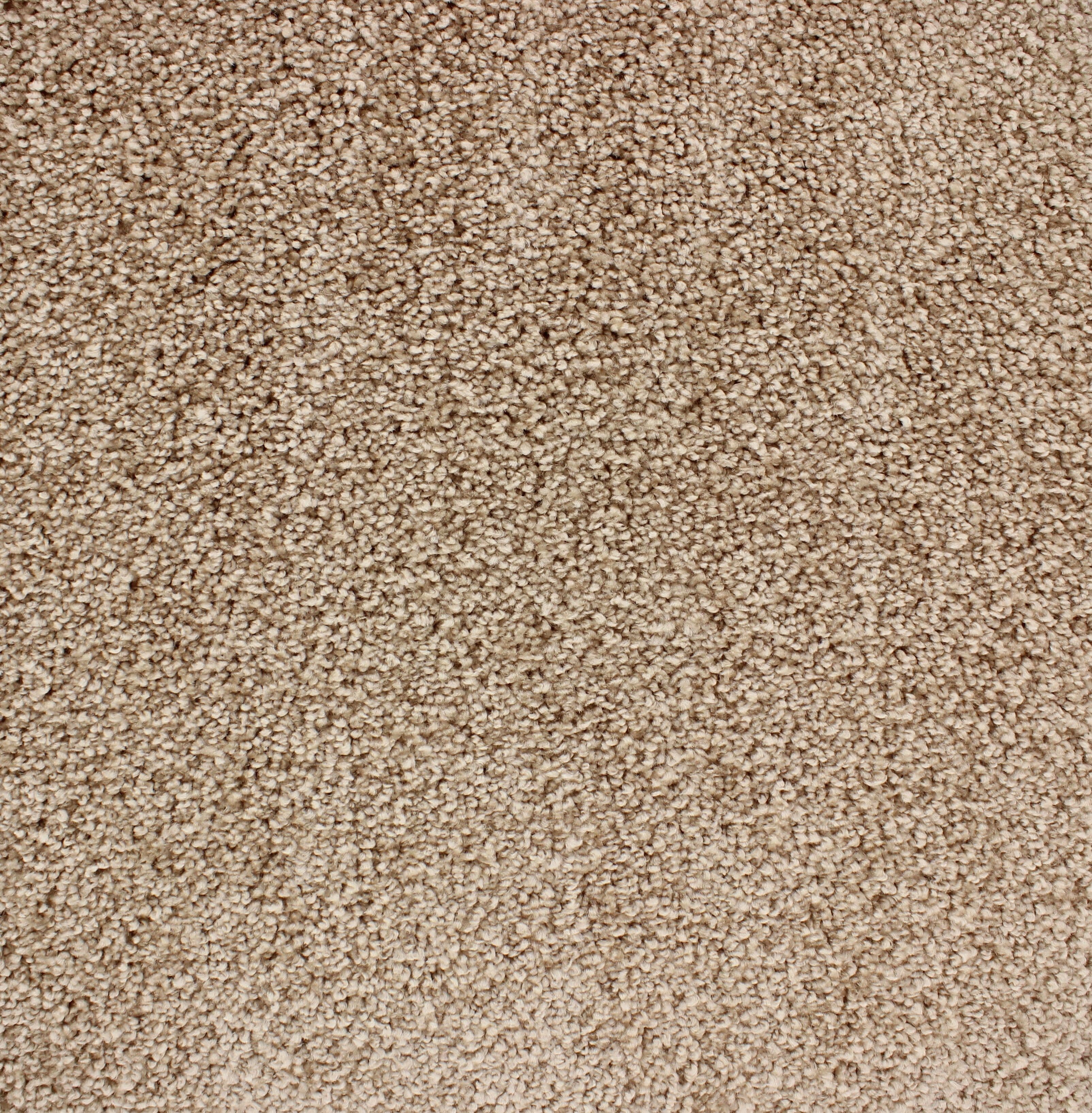 C-3622 Champagne