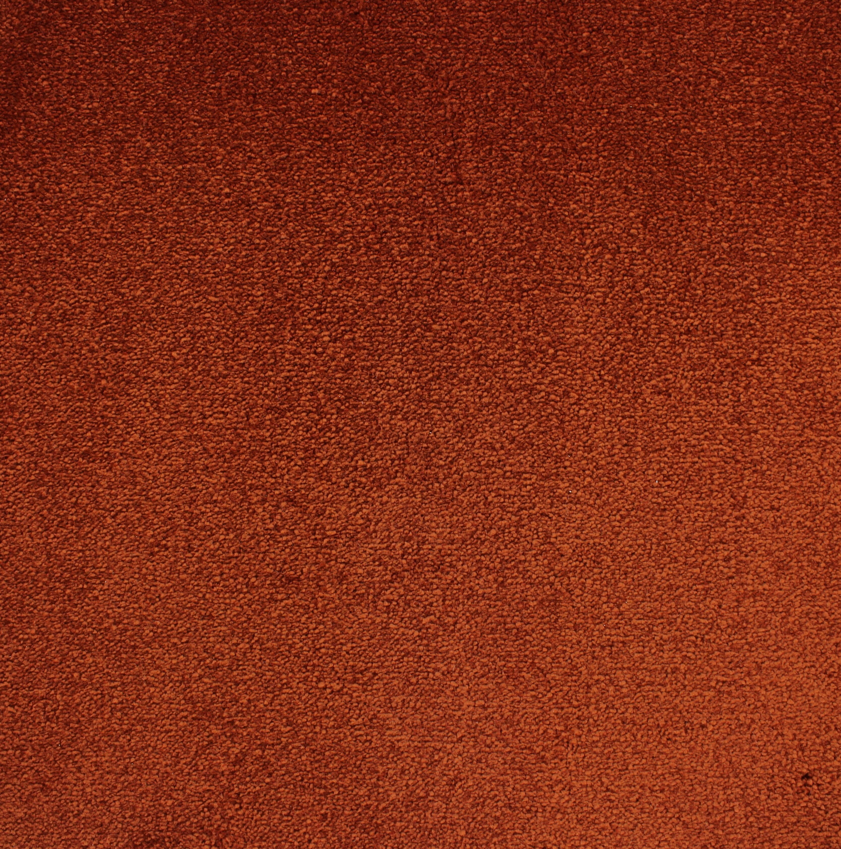 C-2941 Salsa