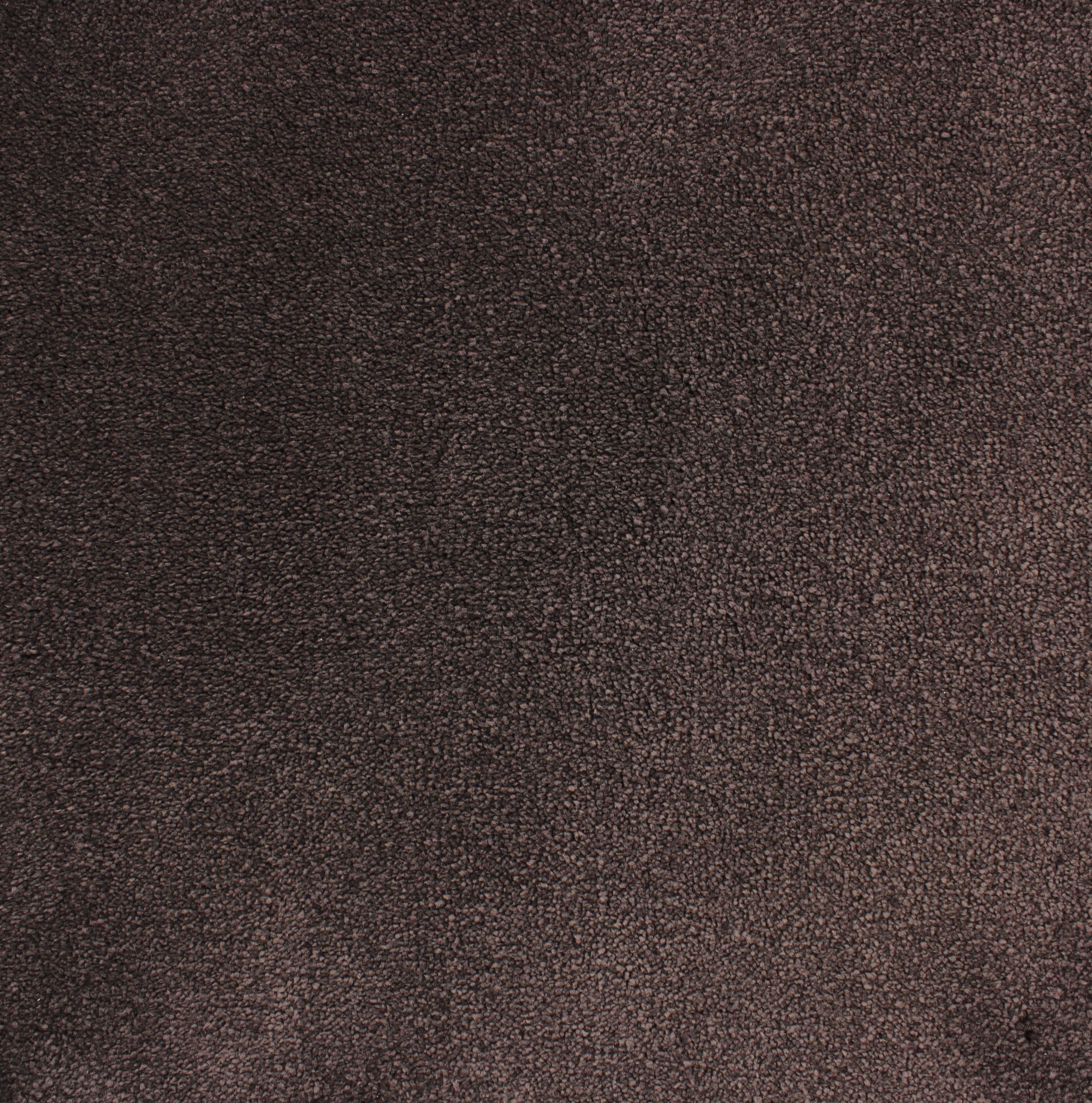C-2925 Aubergine