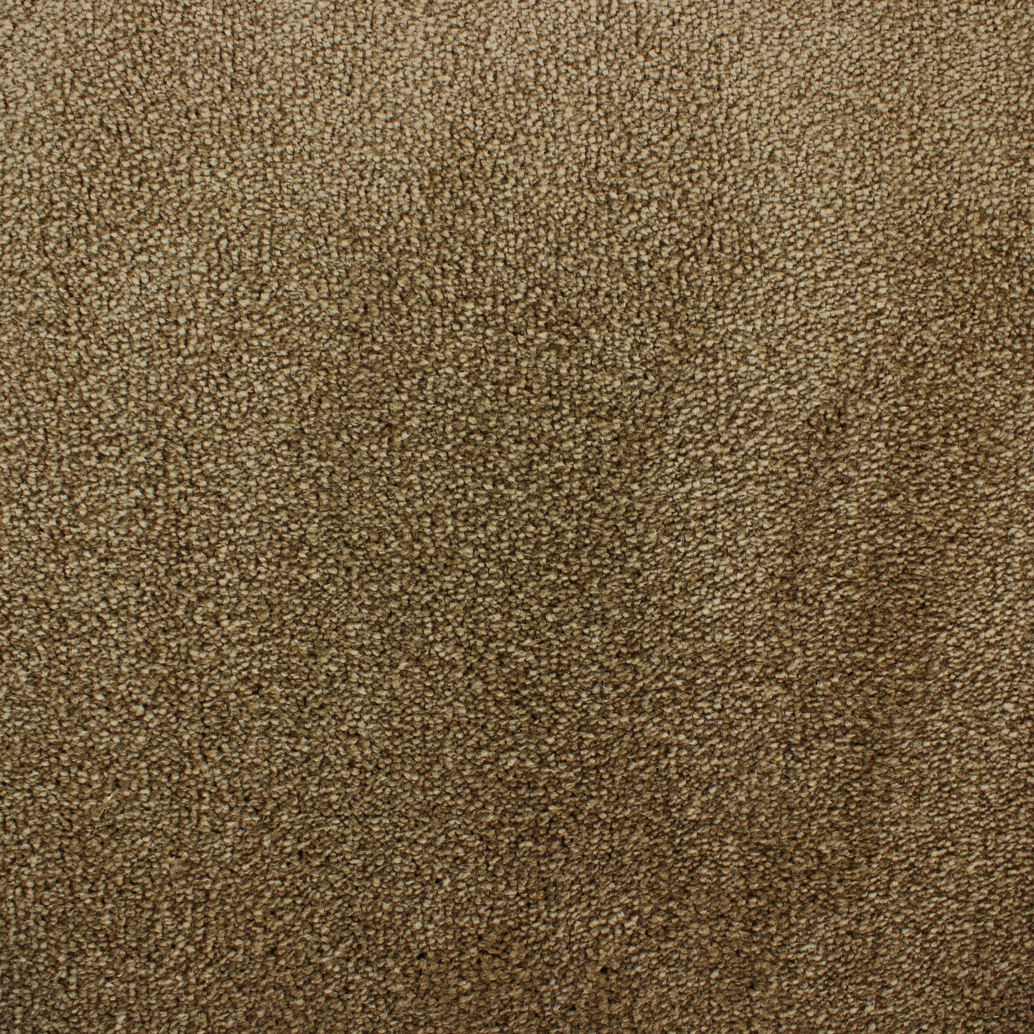 C-5125 Korn