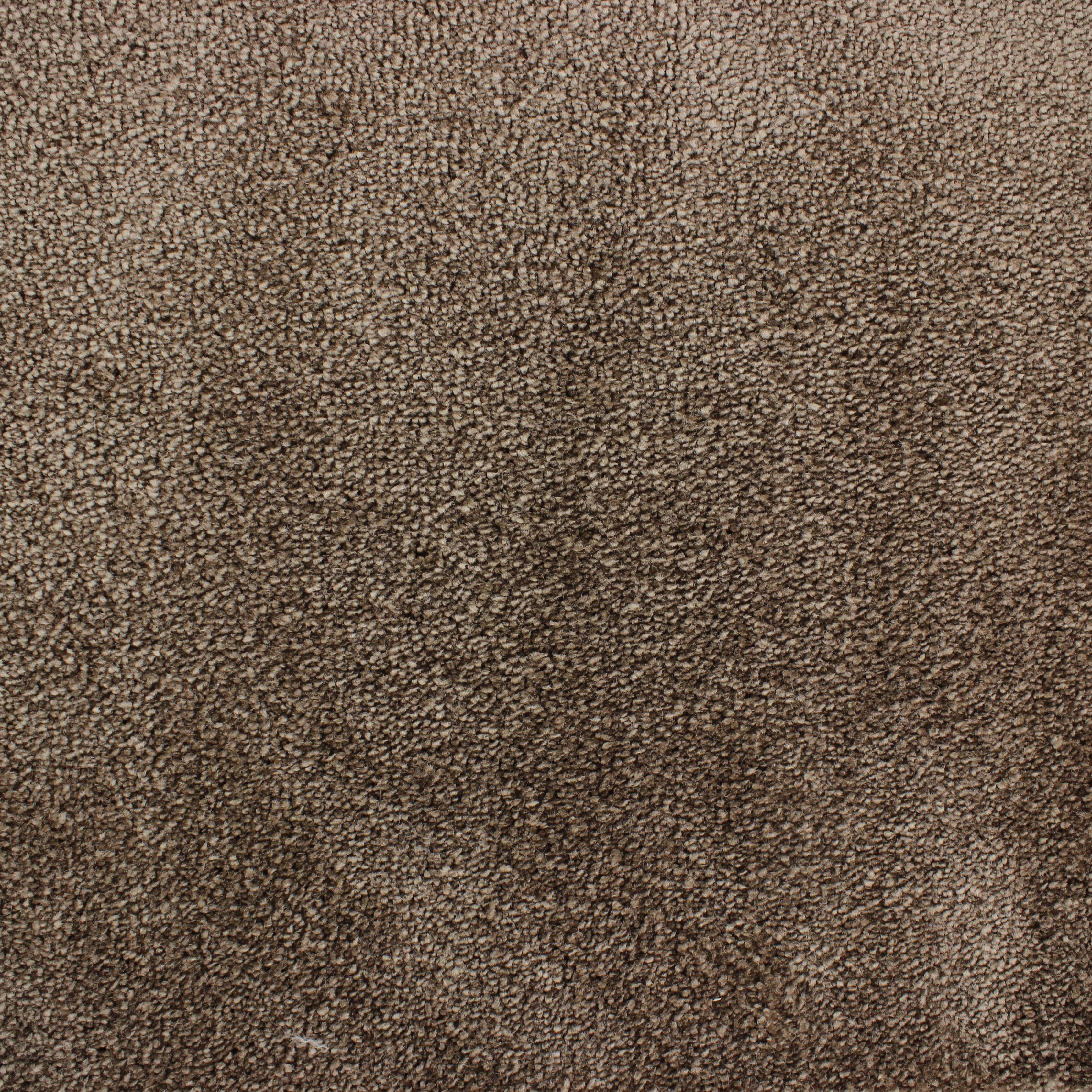 C-5123 Glimmer
