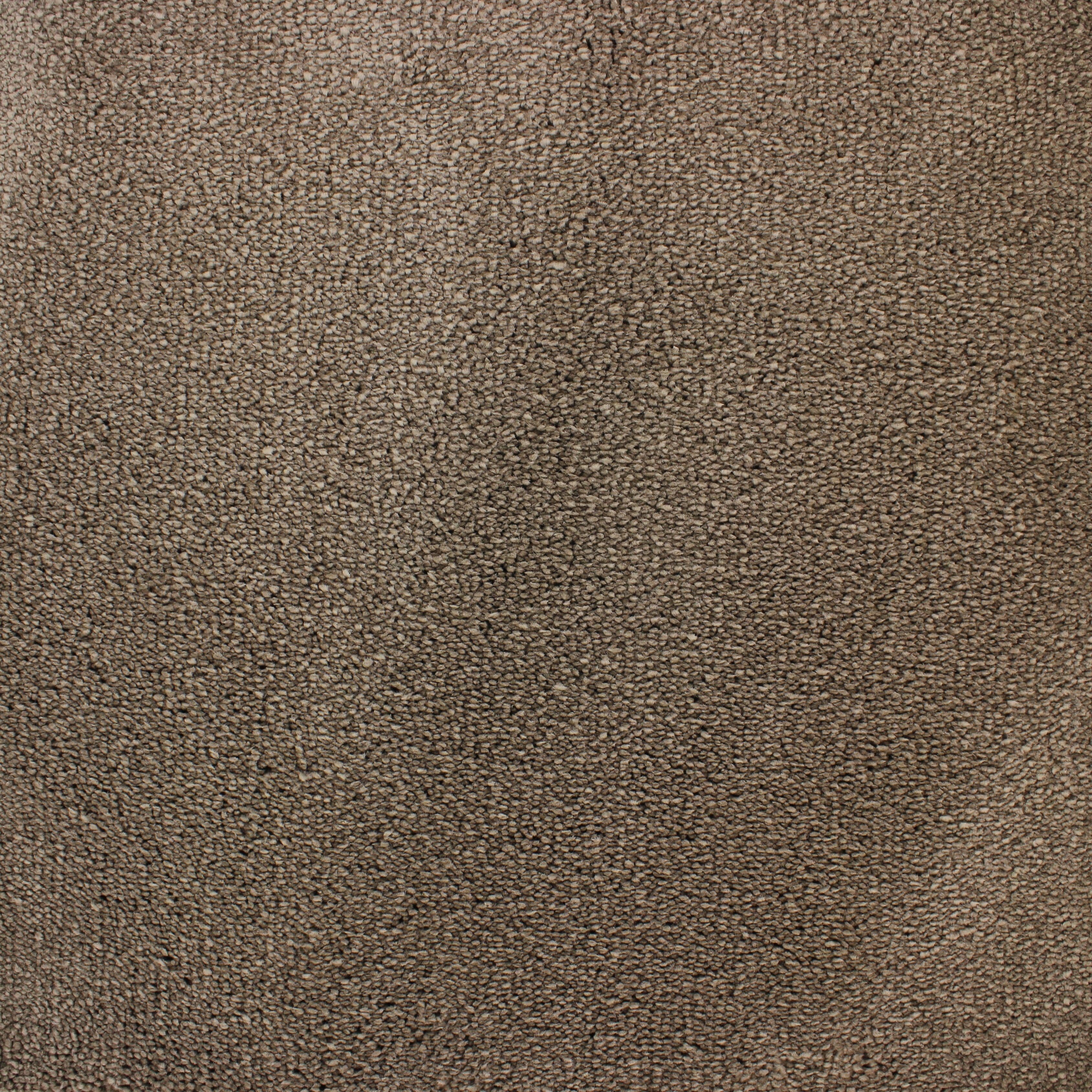 C-2623 Mullvad