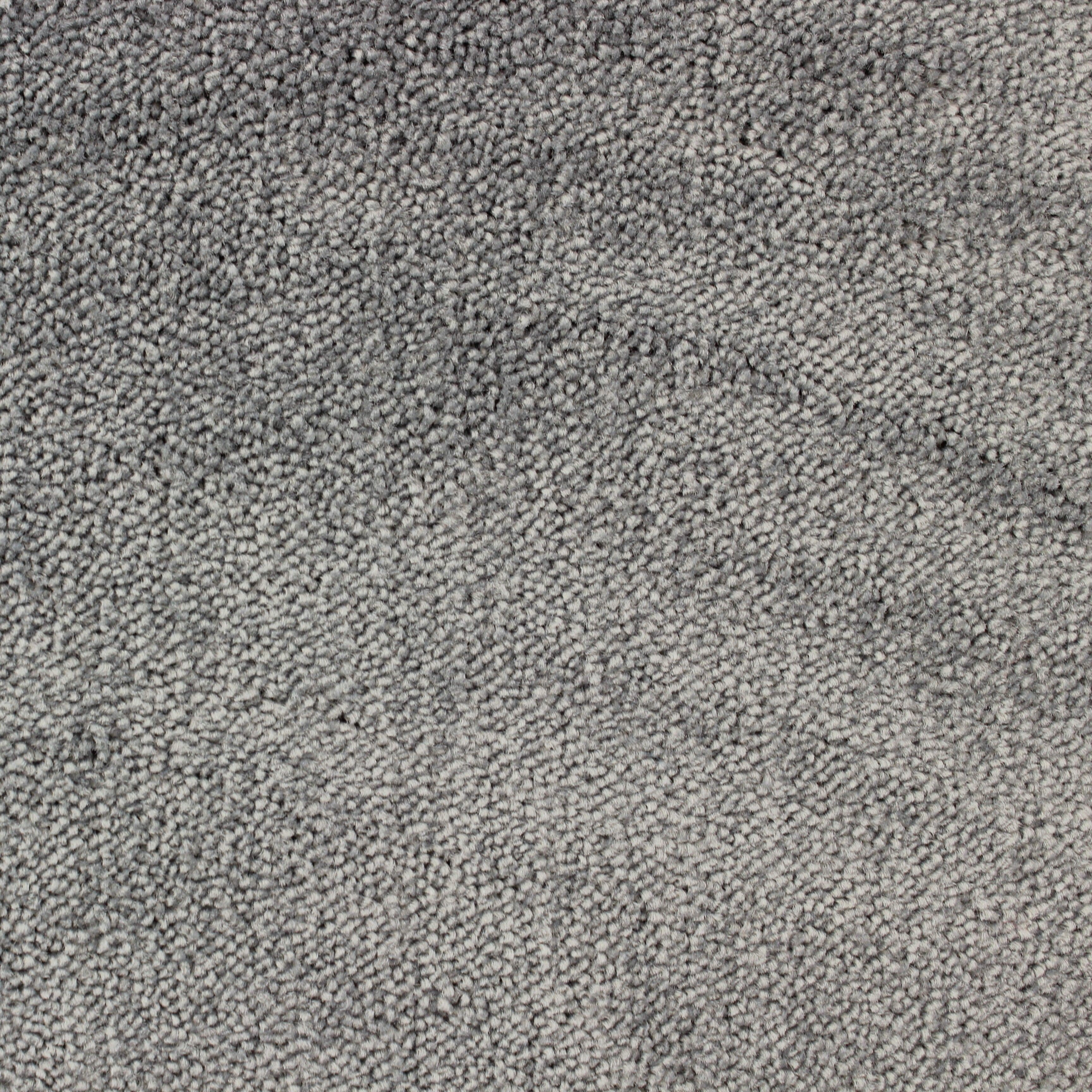 C-3585 Regn