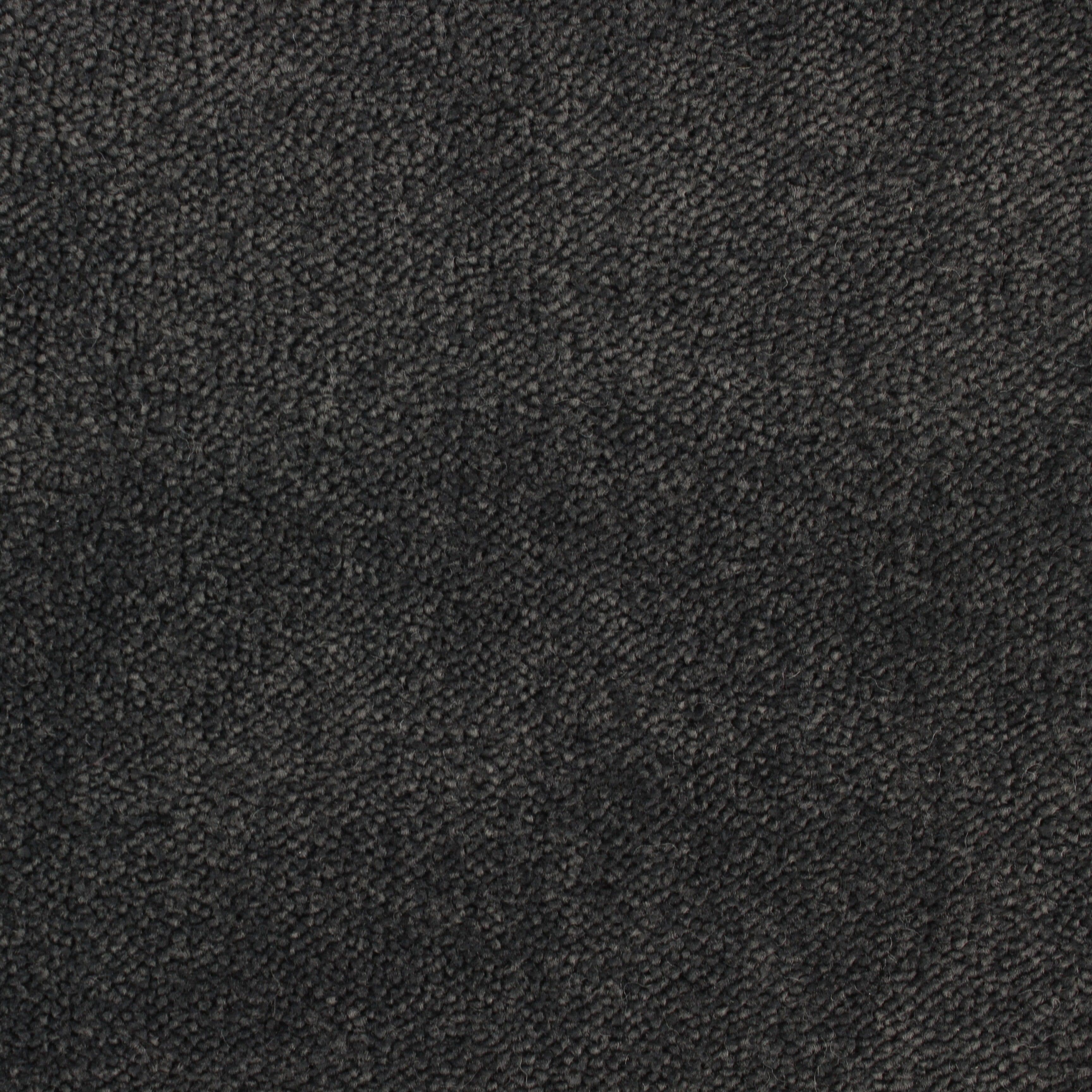 C-3579 Skog