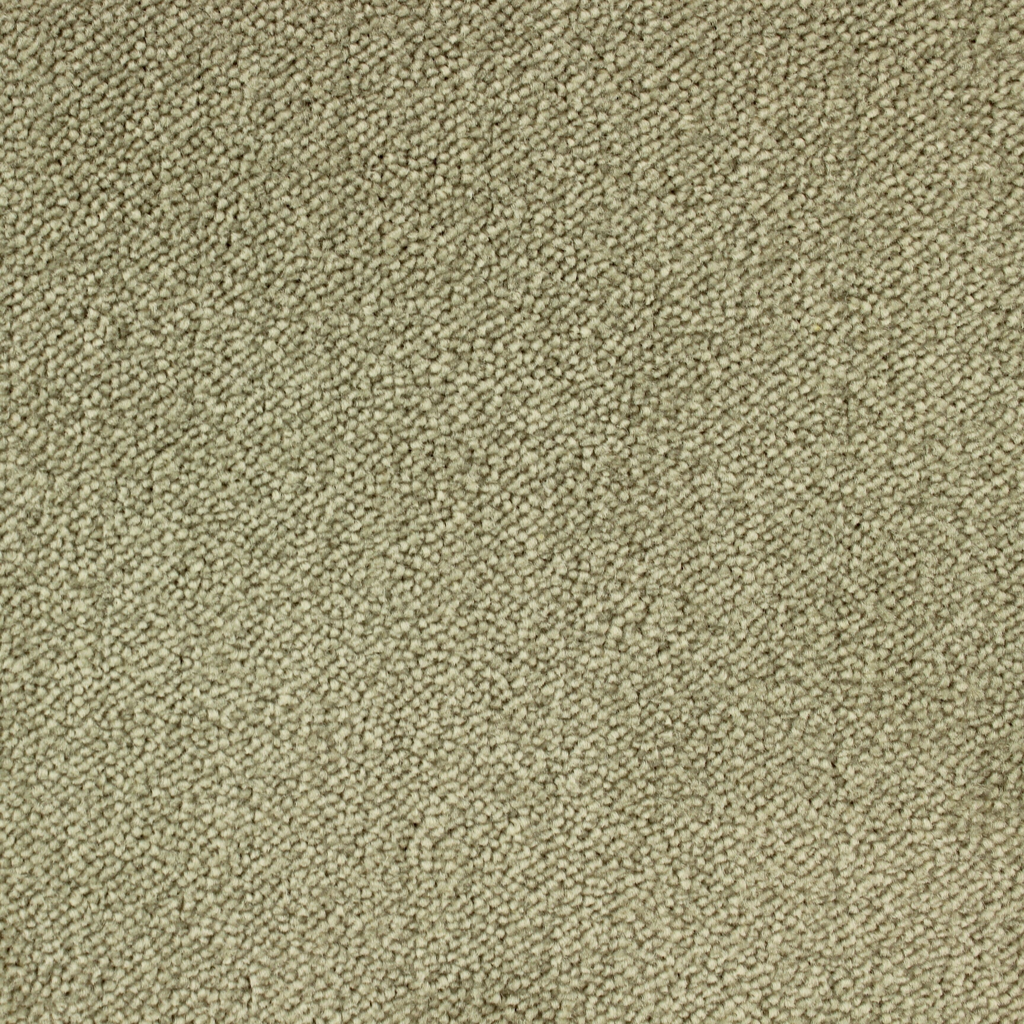 C-3573 Pistage