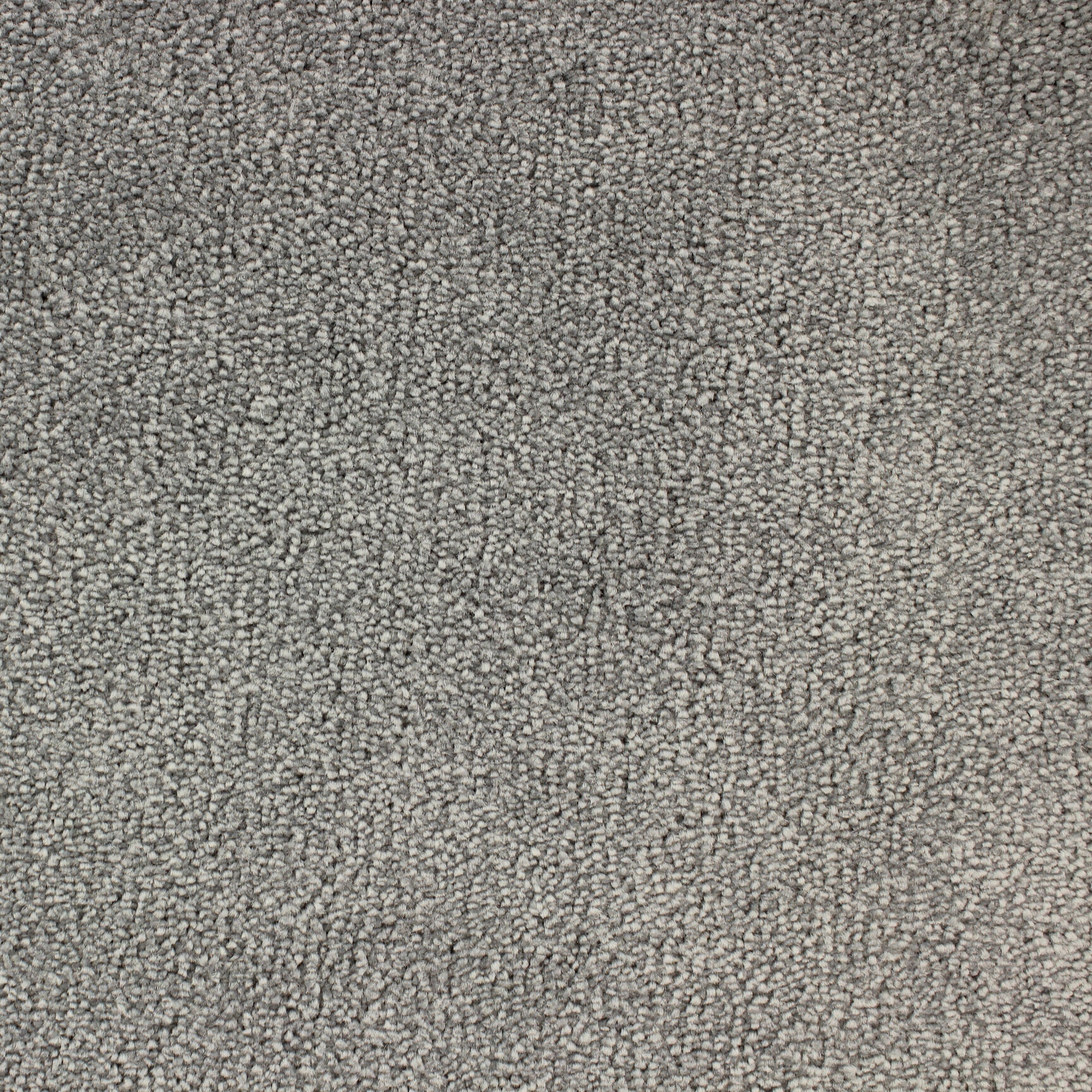 C-3484 Skymning