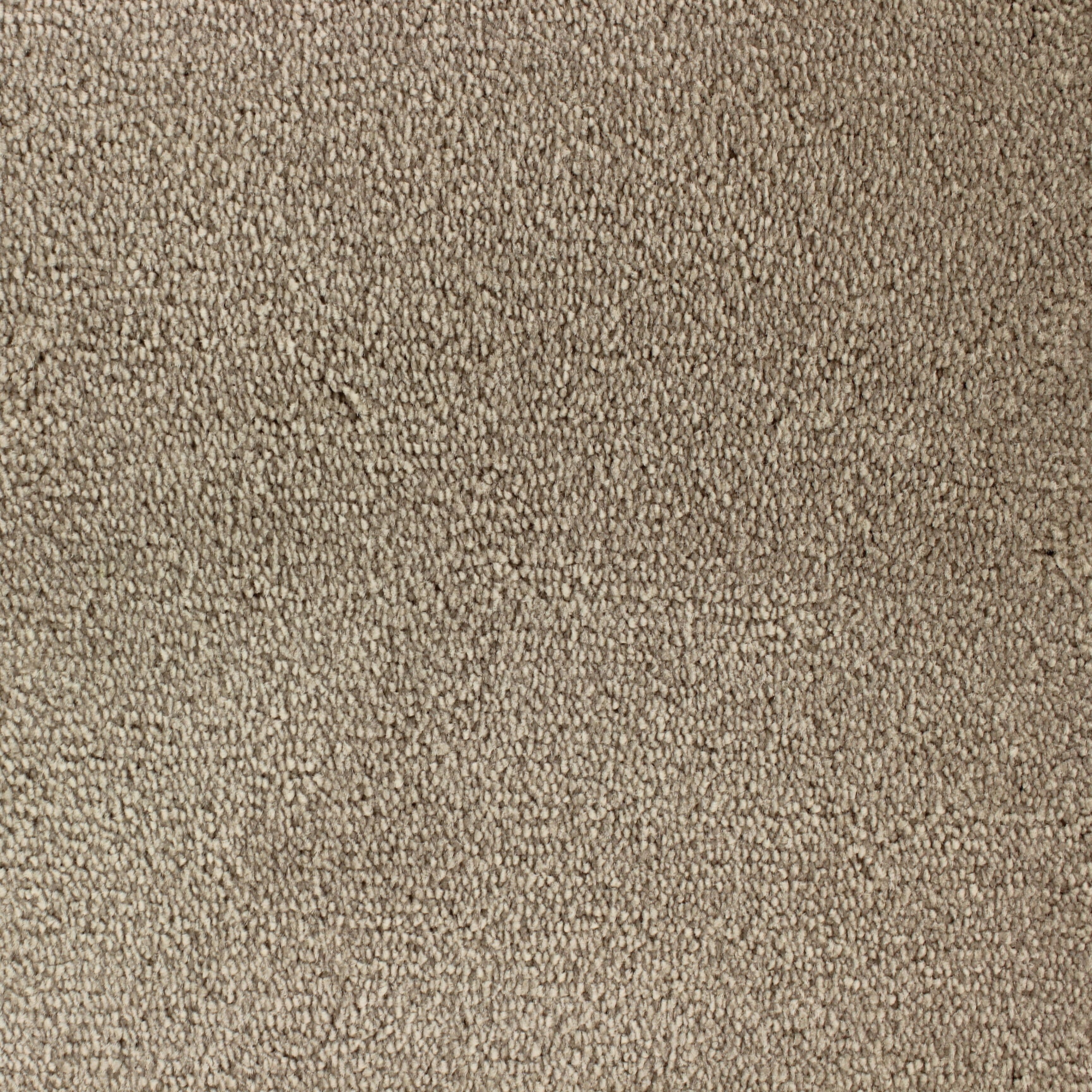C-3425 Strand