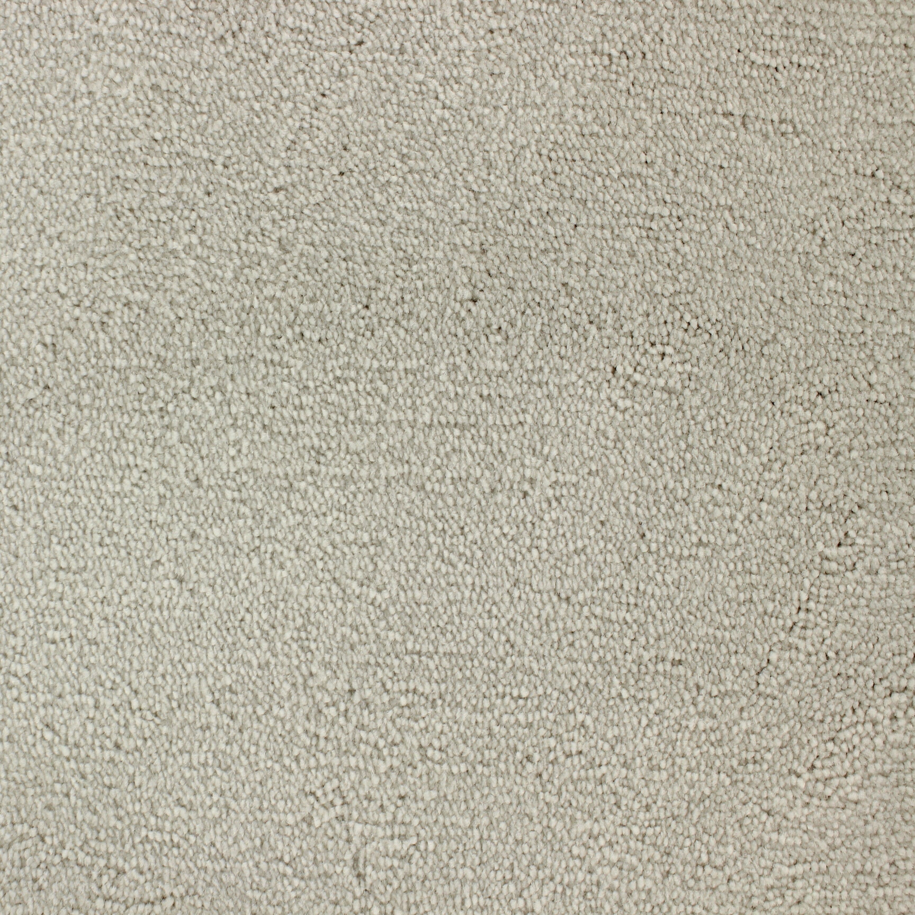 C-3413 Moln