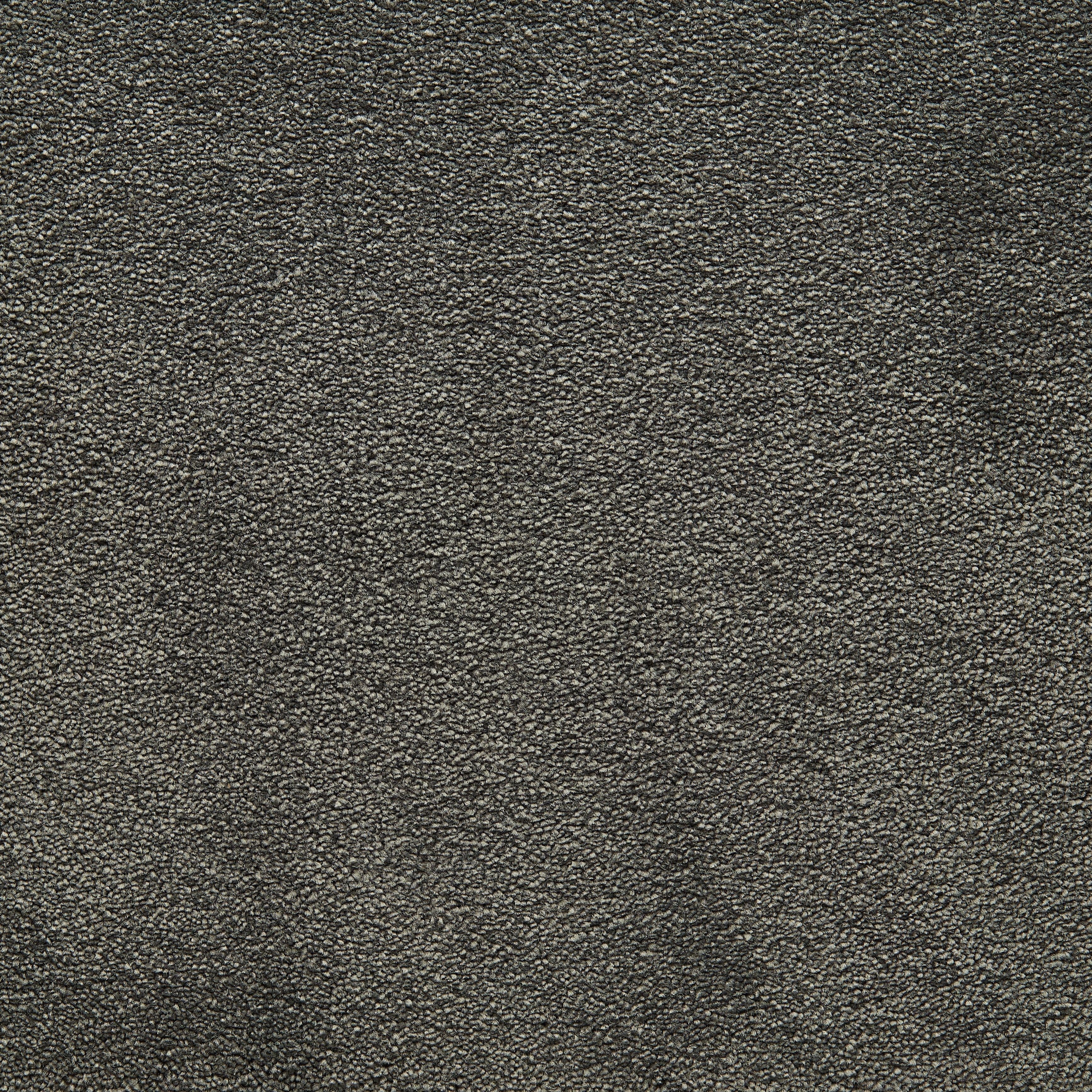 C-4379 Salvia