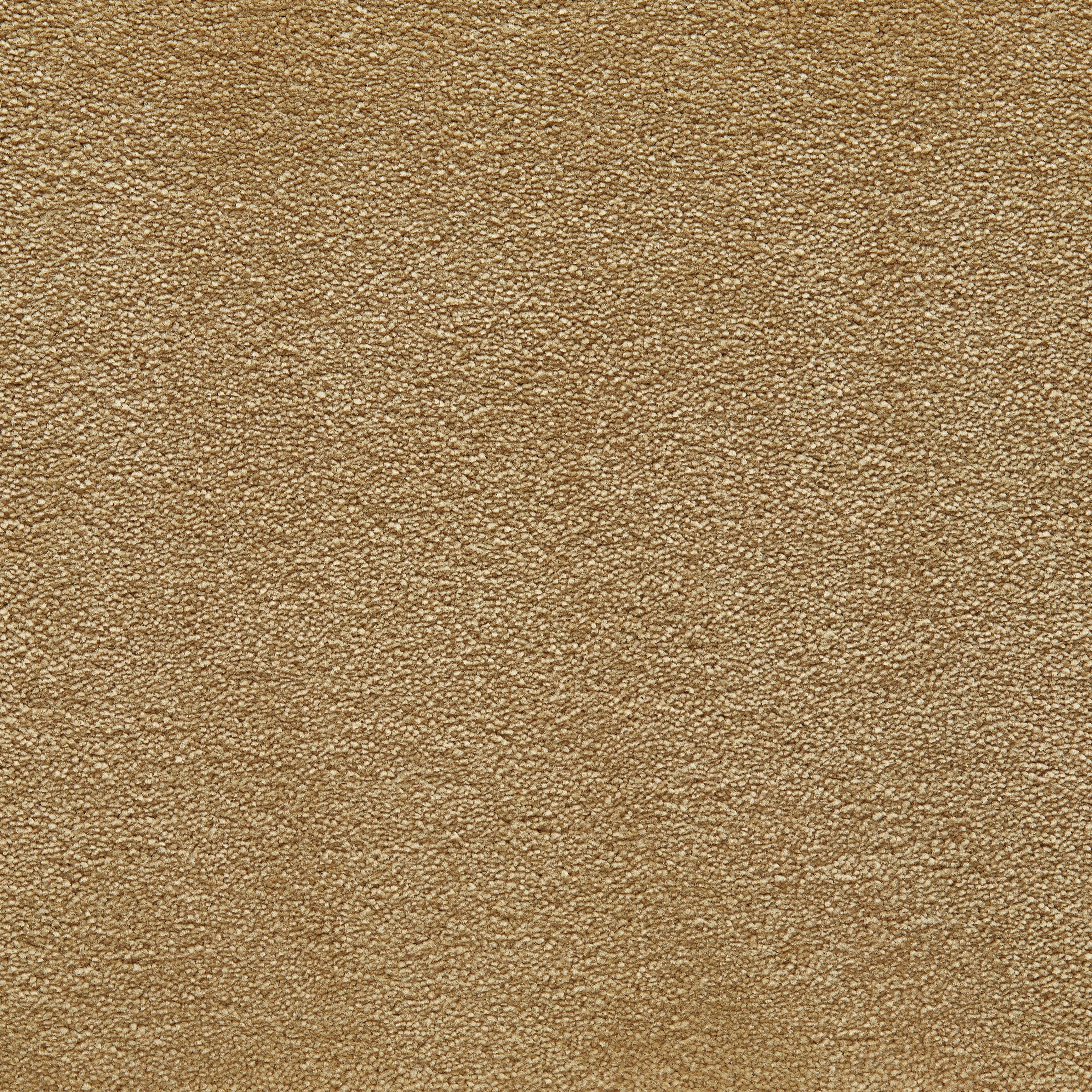 C-4334 Ockra