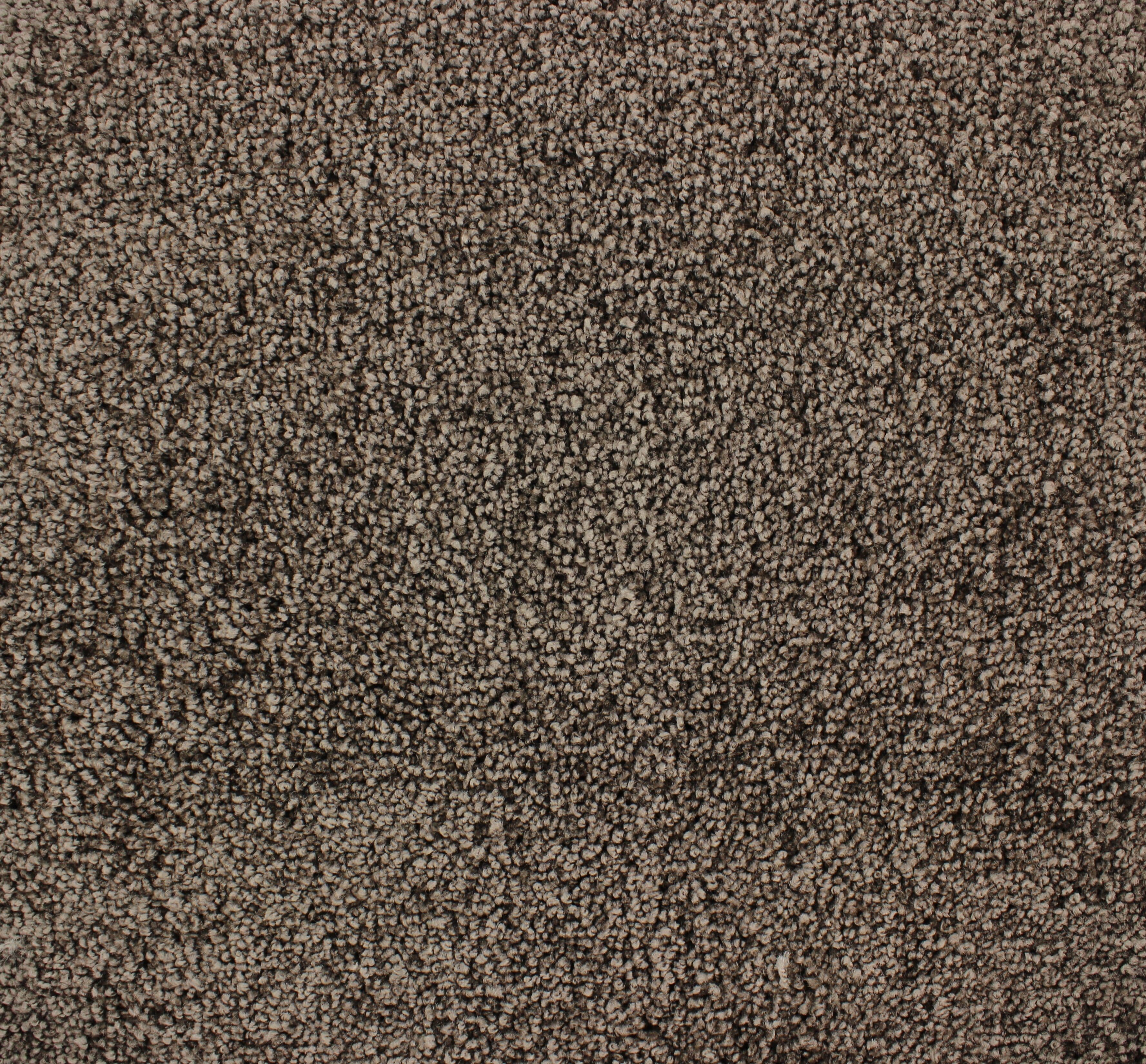 C-3628 Pralin